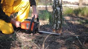 Best Pest Control for Lawns  in Mountainhome, PA