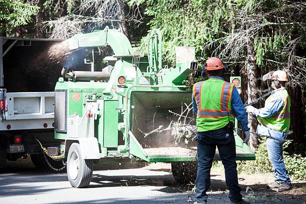 Best Weed Control  in Mountainhome, PA